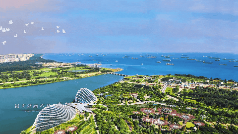 威客电竞·(中国)VKGAME