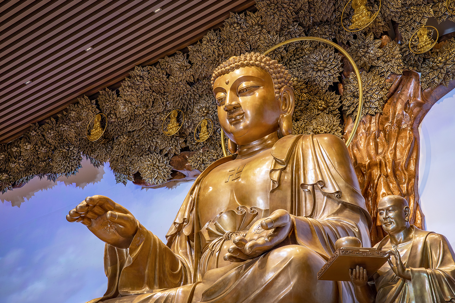 威客电竞·(中国)VKGAME