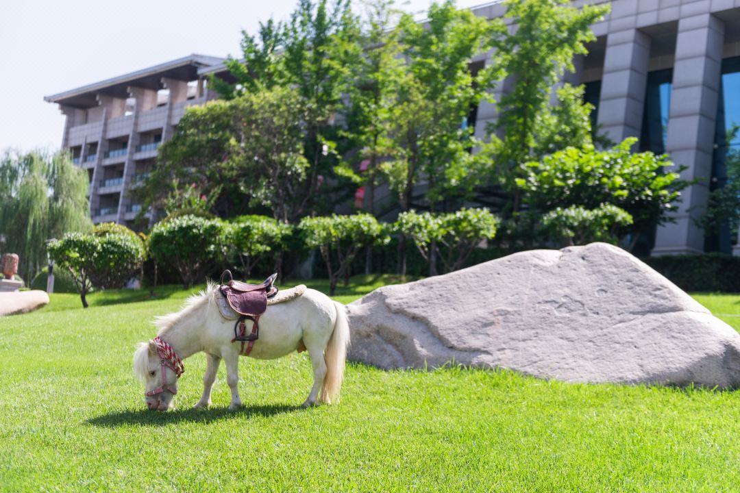 威客电竞·(中国)VKGAME