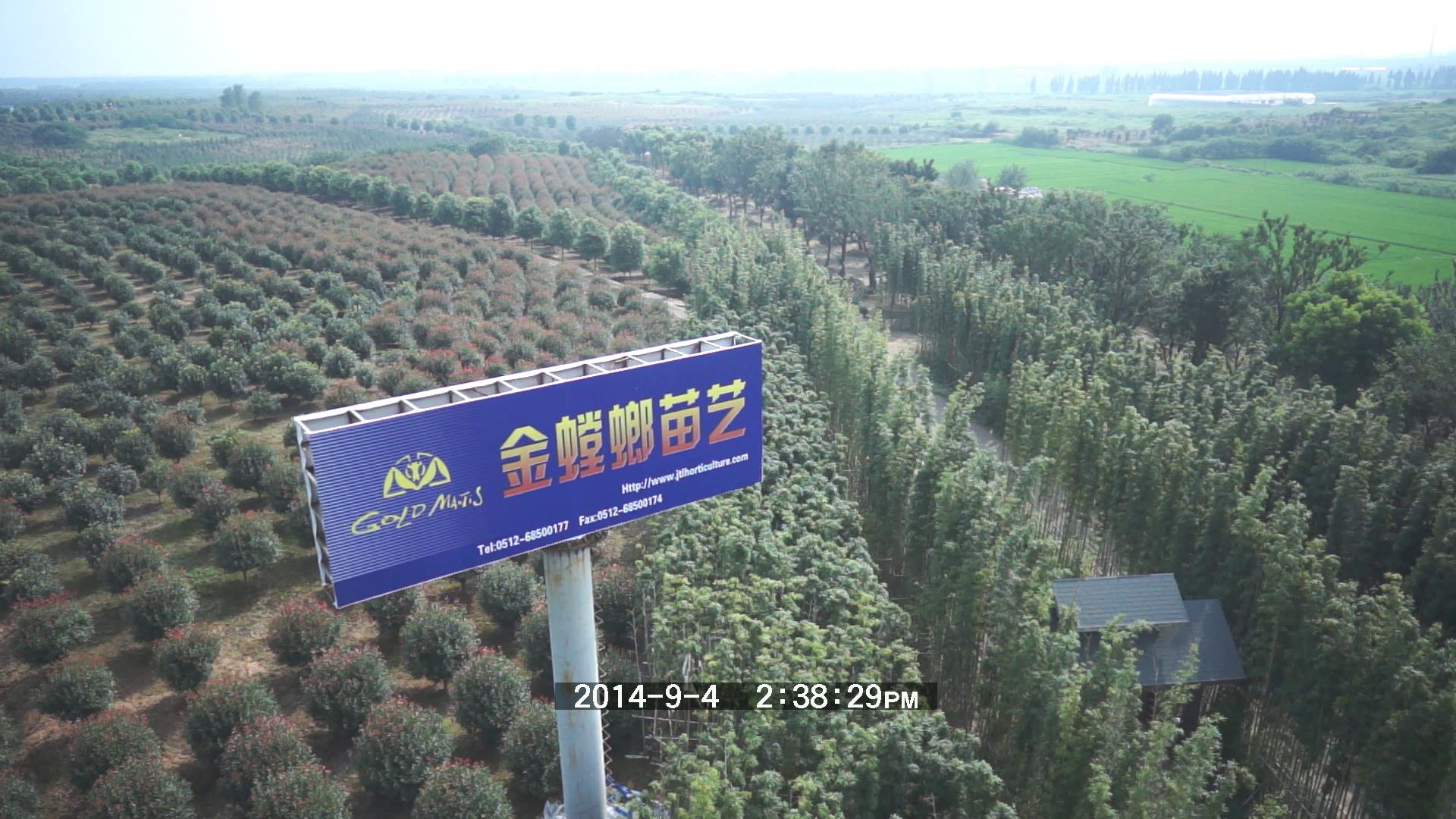 威客电竞·(中国)VKGAME