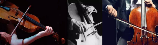 威客电竞·(中国)VKGAME