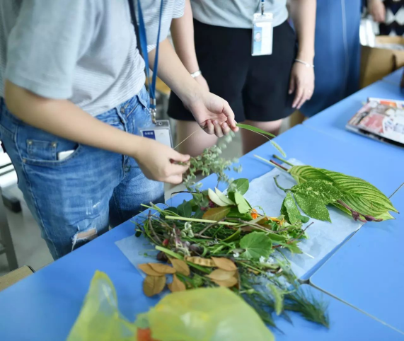 威客电竞·(中国)VKGAME