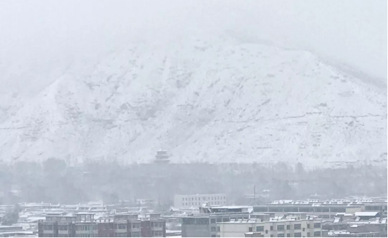 威客电竞·(中国)VKGAME