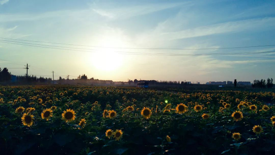 威客电竞·(中国)VKGAME