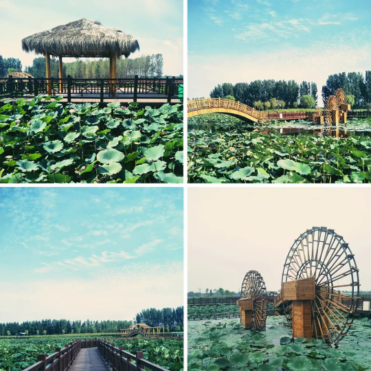 威客电竞·(中国)VKGAME