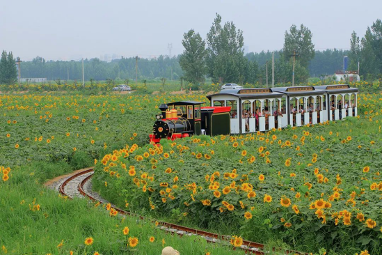 威客电竞·(中国)VKGAME