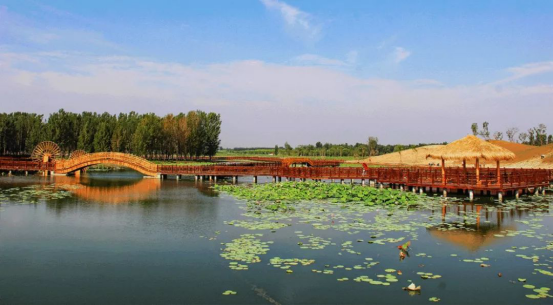 威客电竞·(中国)VKGAME