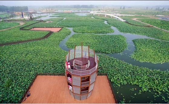 威客电竞·(中国)VKGAME