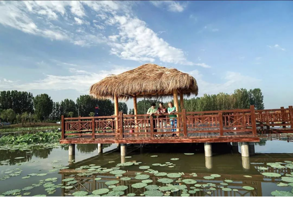 威客电竞·(中国)VKGAME