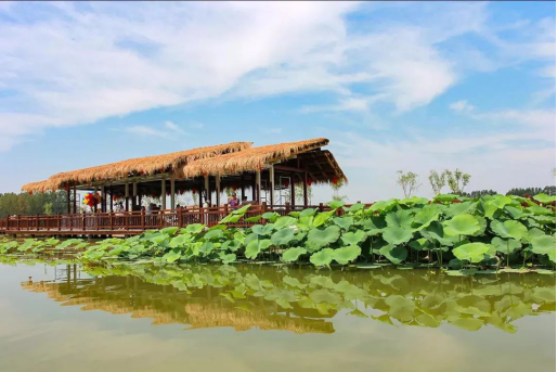 威客电竞·(中国)VKGAME