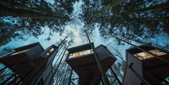 威客电竞·(中国)VKGAME