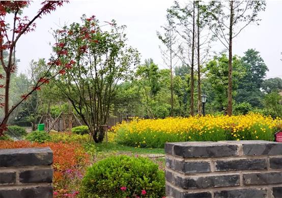 威客电竞·(中国)VKGAME